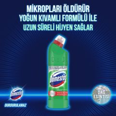 DOMESTOS CAMASIR SUYU DAG ESINTISI 750ML 806GR